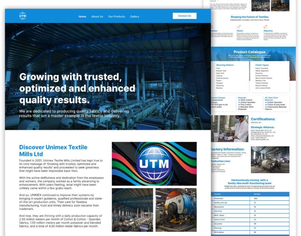 Business web development